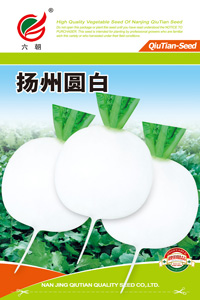 扬州圆白