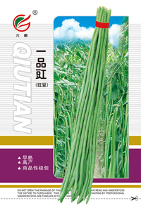 一品豇-2