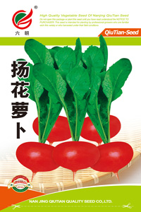 扬花萝卜