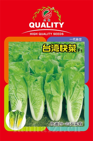 台湾快菜