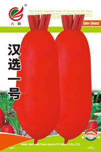 汉选一号