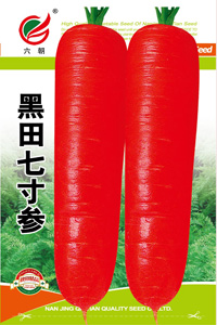 黑田七寸参