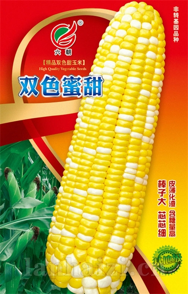 双色蜜甜