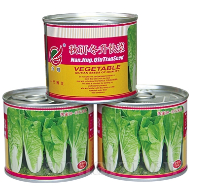 冬升快菜