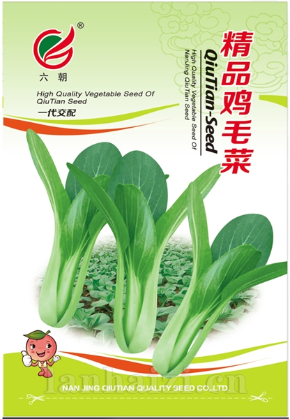 精品鸡毛菜