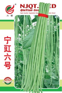 宁豇六号-1