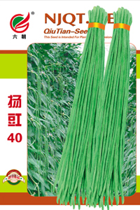 扬豇40-1