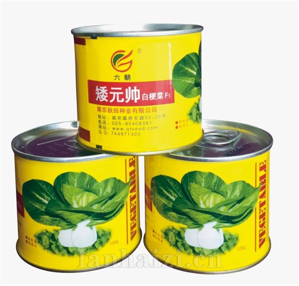 矮元帅（罐）
