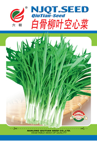 白骨柳叶空心菜