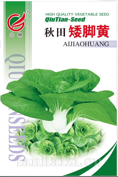 秋田矮脚黄