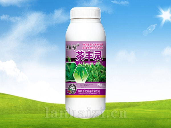 茶丰灵