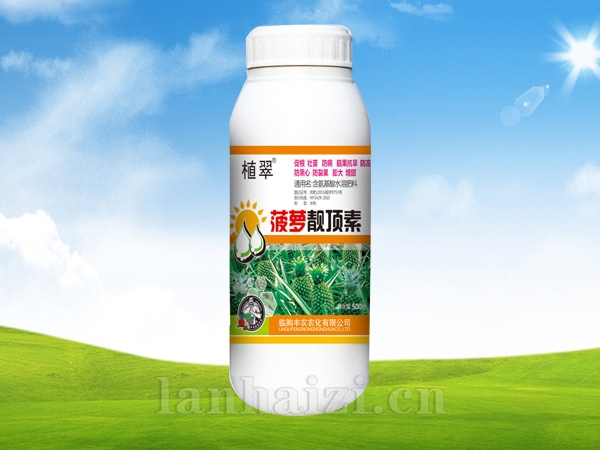菠萝靓顶素