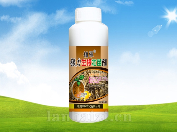 强力生根壮苗剂