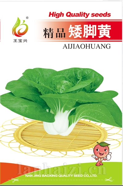 精品矮脚黄