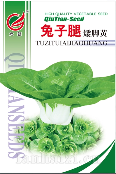 秋田兔子腿矮脚黄
