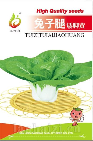 兔子腿矮脚黄（红版）
