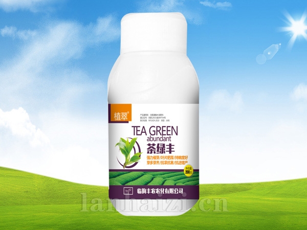 茶绿丰