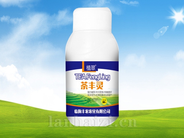 茶丰灵