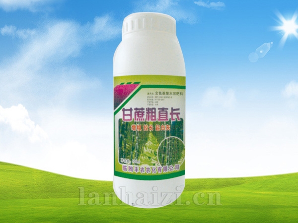 甘蔗粗直长
