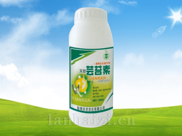 芸苔素