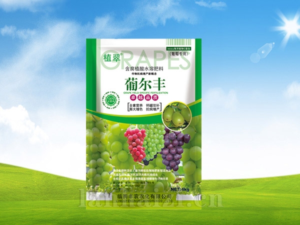 葡尔丰