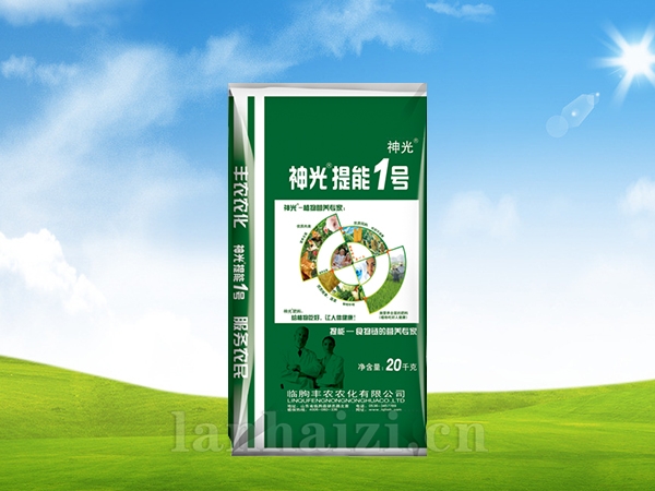 神光提能一号