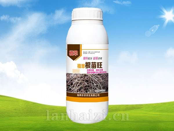 根苗旺