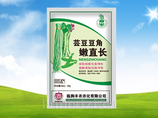 云豆豆角嫩直长
