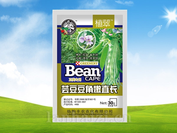 生根壮苗剂