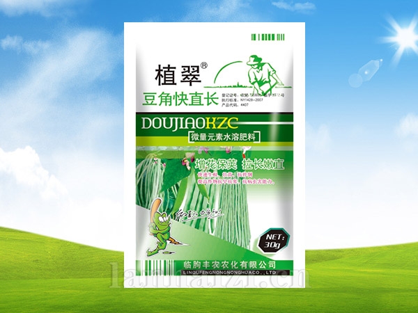 豆角快直长 