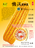 懒汉玉米种子-----赊玉336