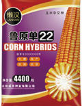 懒汉玉米种子-----鲁原单22