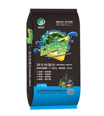 益根藻