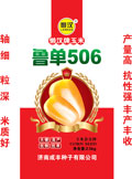 懒汉王玉米种子--懒汉王鲁单506玉米
