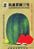 西瓜种子--抗重茬新三号