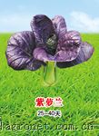 供应紫罗...