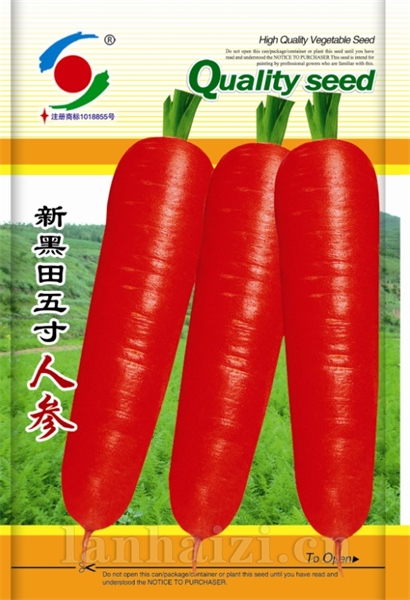 供应胡萝卜种子