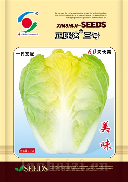 供应正旺达三号—白菜种子