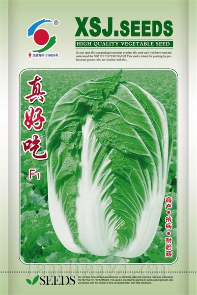 供应真好吃—白菜种子