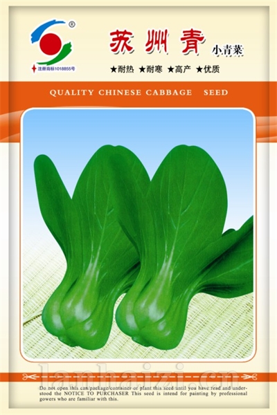 供应苏州青—白菜种子