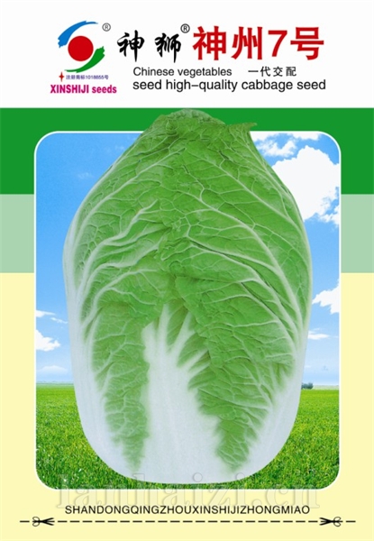 供应神州7号—白菜种子