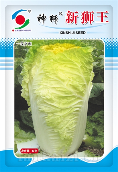 供应神狮新狮王—白菜种子