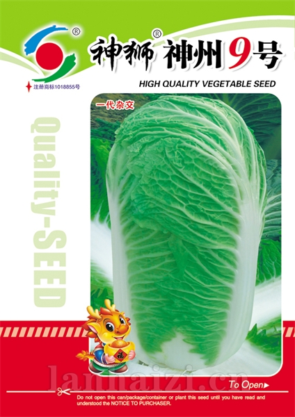 供应神狮神州9号—白菜种子