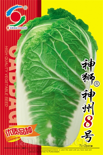 供应神狮神州8号—白菜种子