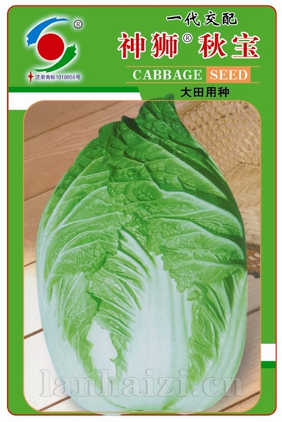 供应神狮秋宝—白菜种子