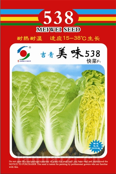 供应美味538—白菜种子