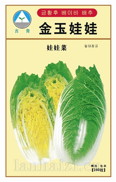 供应金玉娃娃—白菜种子