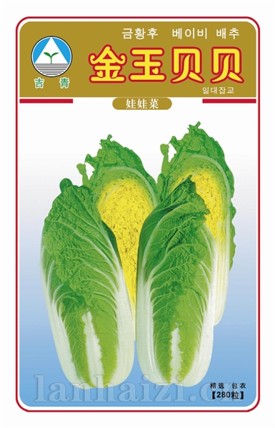 供应金玉贝贝—白菜种子