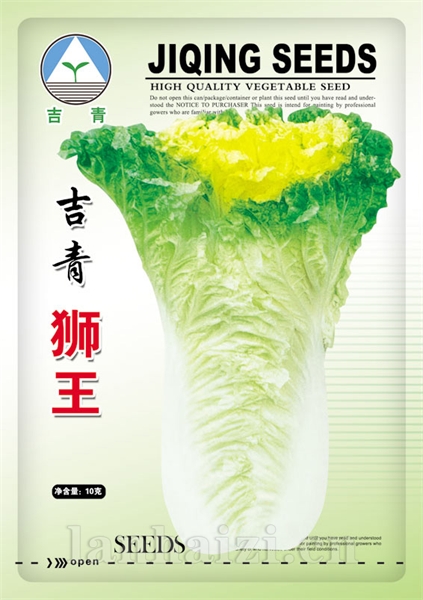 供应吉青狮王—白菜种子