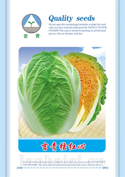 供应吉青桔红心—白菜种子